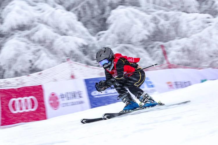 中国冰雪运动最新动态