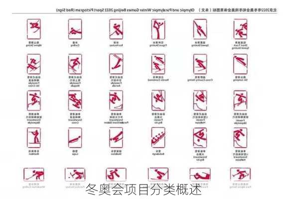 冬奥会项目分类概述