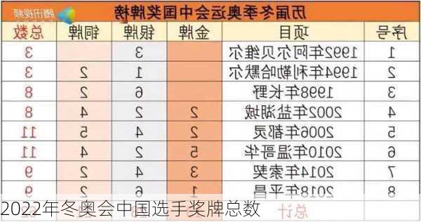 2022年冬奥会中国选手奖牌总数