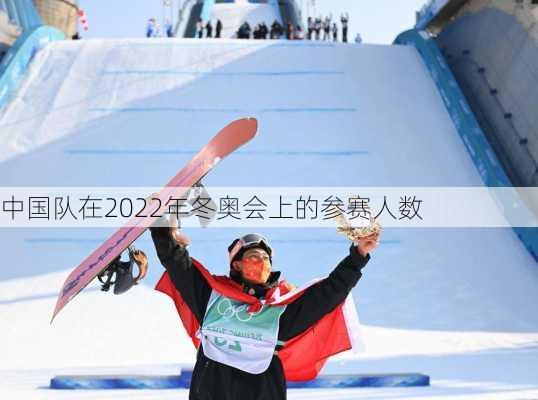 中国队在2022年冬奥会上的参赛人数