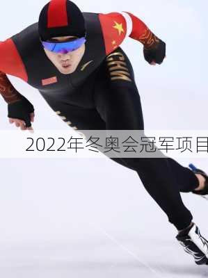 2022年冬奥会冠军项目