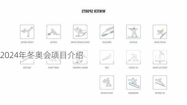 2024年冬奥会项目介绍