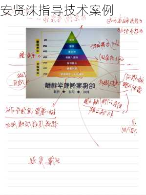 安贤洙指导技术案例