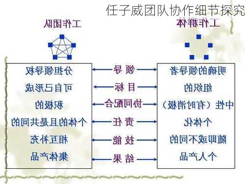 任子威团队协作细节探究