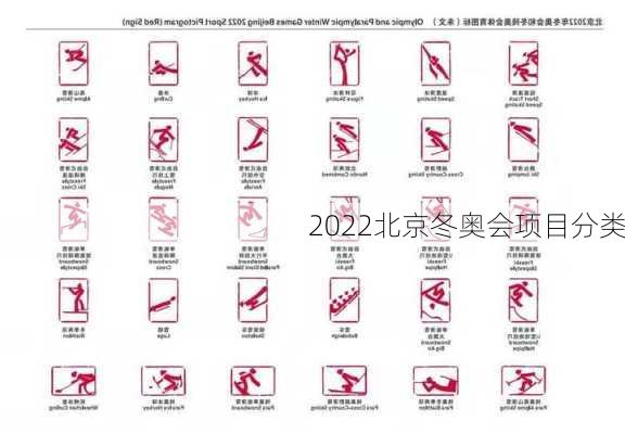 2022北京冬奥会项目分类