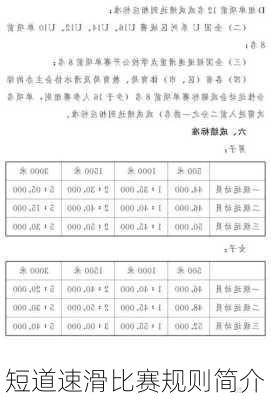 短道速滑比赛规则简介