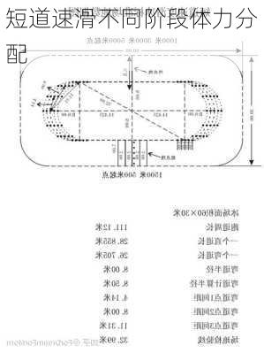 短道速滑不同阶段体力分配