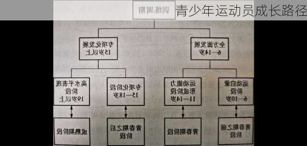 青少年运动员成长路径