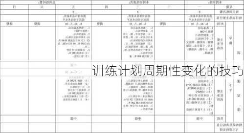 训练计划周期性变化的技巧