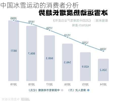 中国冰雪运动的消费者分析