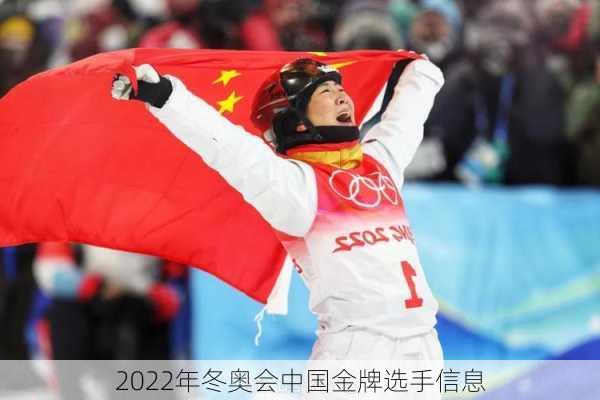 2022年冬奥会中国金牌选手信息