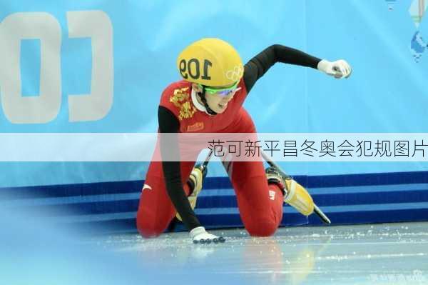 范可新平昌冬奥会犯规图片