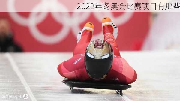 2022年冬奥会比赛项目有那些