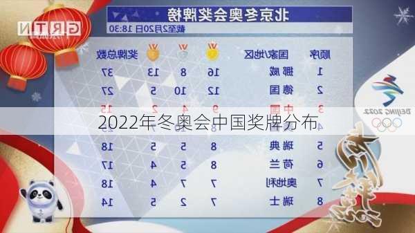 2022年冬奥会中国奖牌分布