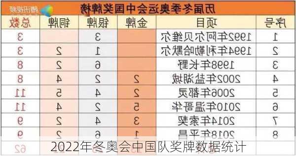 2022年冬奥会中国队奖牌数据统计