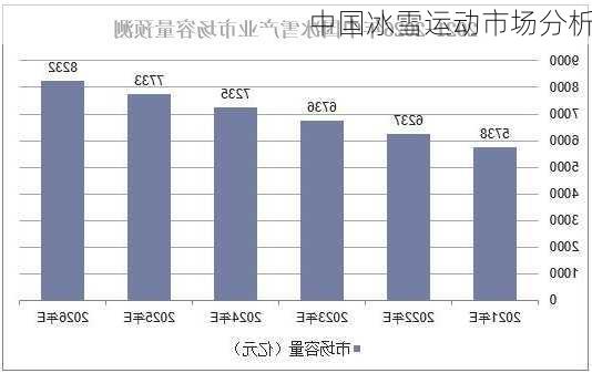 中国冰雪运动市场分析