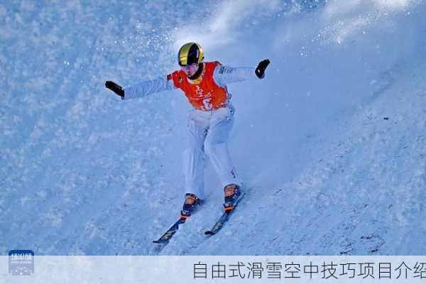 自由式滑雪空中技巧项目介绍