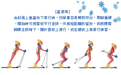 自由式滑雪力量训练方法