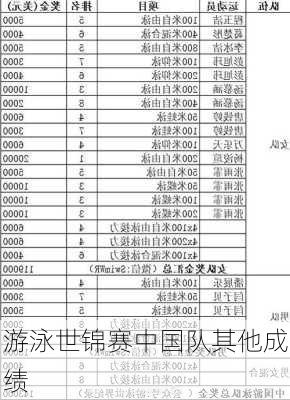 游泳世锦赛中国队其他成绩