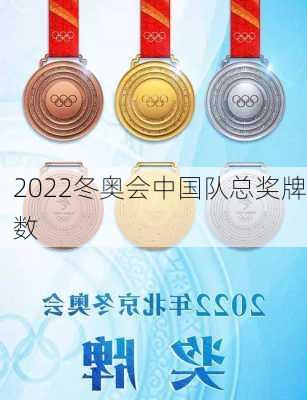 2022冬奥会中国队总奖牌数