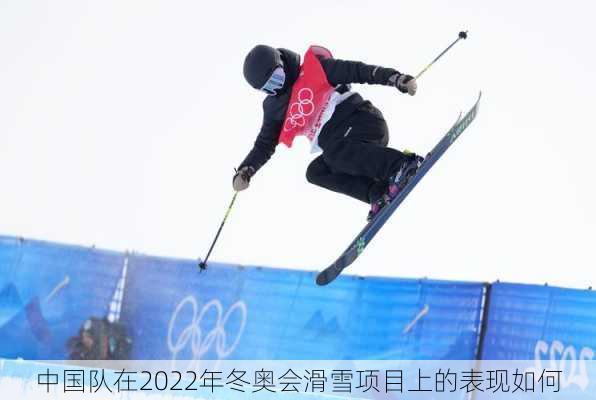 中国队在2022年冬奥会滑雪项目上的表现如何