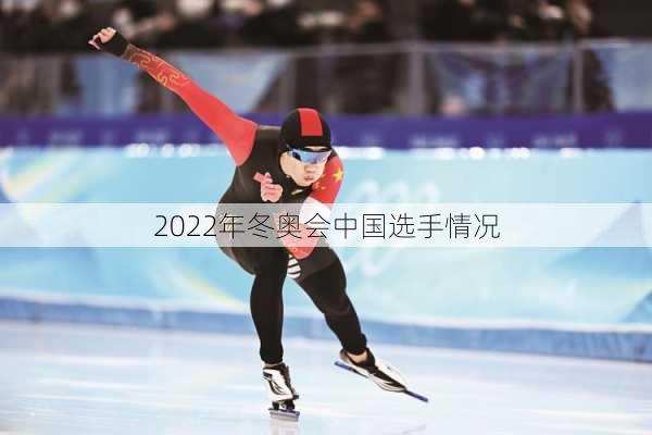 2022年冬奥会中国选手情况