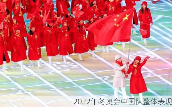 2022年冬奥会中国队整体表现