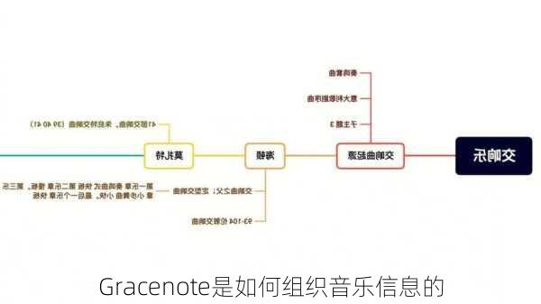 Gracenote是如何组织音乐信息的