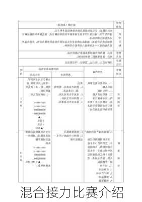 混合接力比赛介绍