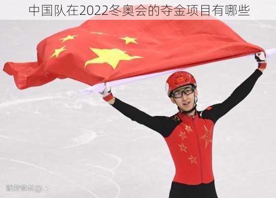 中国队在2022冬奥会的夺金项目有哪些