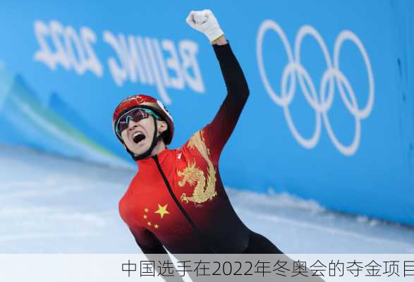 中国选手在2022年冬奥会的夺金项目