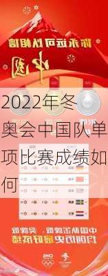 2022年冬奥会中国队单项比赛成绩如何