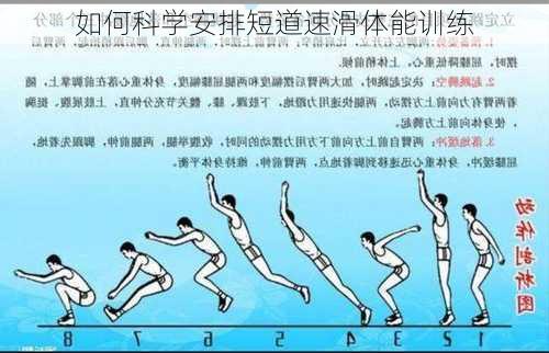 如何科学安排短道速滑体能训练