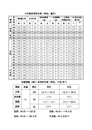 国家队训练强度如何评估