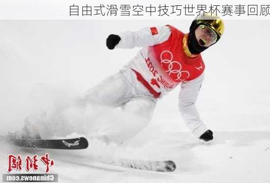 自由式滑雪空中技巧世界杯赛事回顾