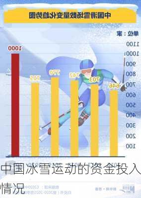 中国冰雪运动的资金投入情况