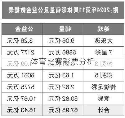 体育比赛彩票分析