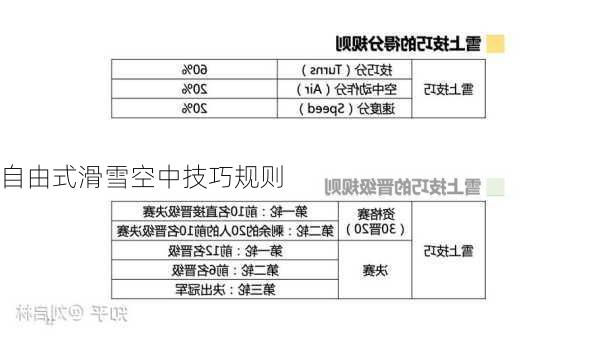 自由式滑雪空中技巧规则