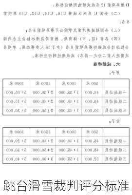 跳台滑雪裁判评分标准