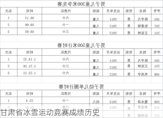 甘肃省冰雪运动竞赛成绩历史