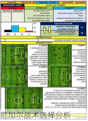 范加尔战术选择分析