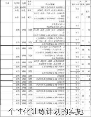 个性化训练计划的实施