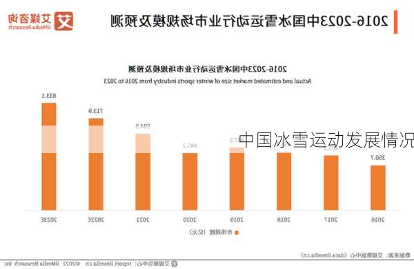 中国冰雪运动发展情况