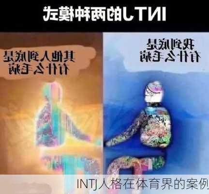 INTJ人格在体育界的案例