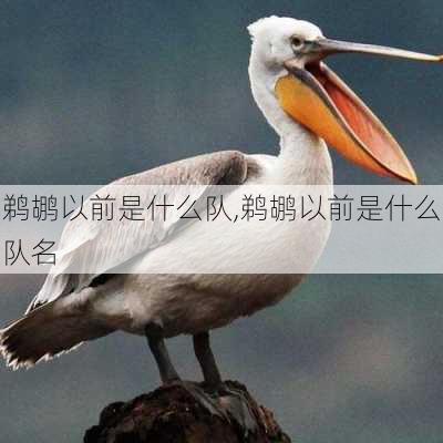 鹈鹕以前是什么队,鹈鹕以前是什么队名