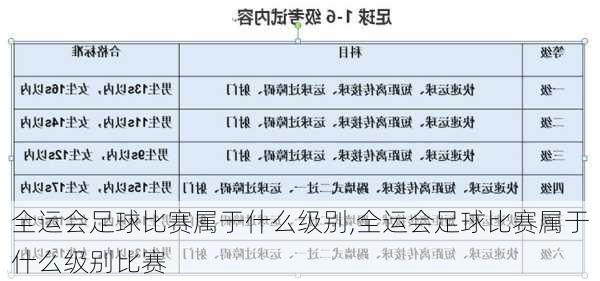 全运会足球比赛属于什么级别,全运会足球比赛属于什么级别比赛