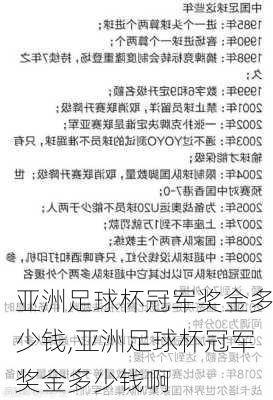 亚洲足球杯冠军奖金多少钱,亚洲足球杯冠军奖金多少钱啊