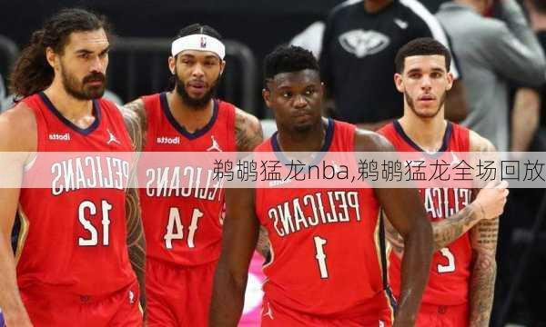 鹈鹕猛龙nba,鹈鹕猛龙全场回放