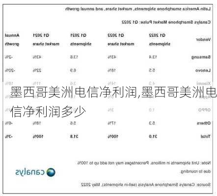 墨西哥美洲电信净利润,墨西哥美洲电信净利润多少