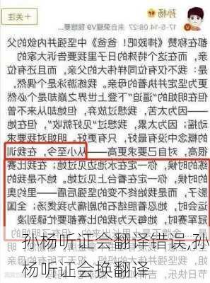 孙杨听证会翻译错误,孙杨听证会换翻译